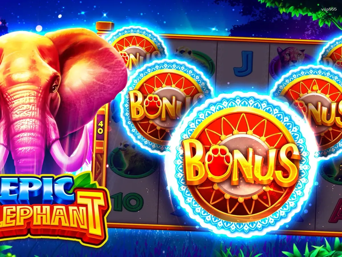 Akses vip555 VIP Premium screenshot